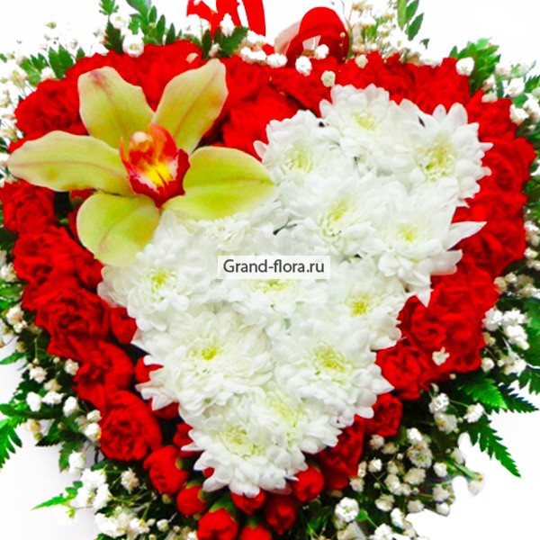 Сердце Аполлона - композиция в виде сердца из гвоздик, хризантем и орхидей