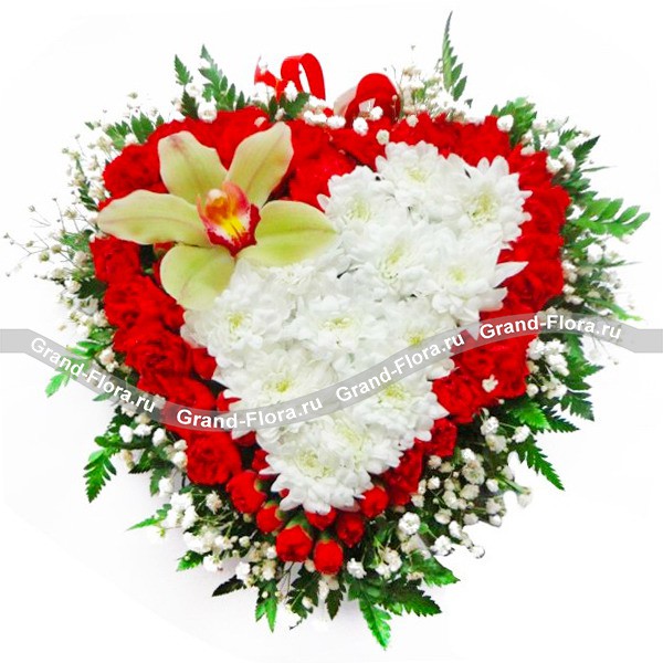 Сердце Аполлона - композиция в виде сердца из гвоздик, хризантем и орхидей